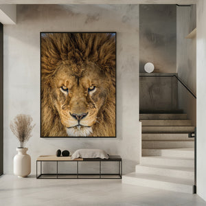 Tablou înramat „Serious Lion” de Mike Centioli