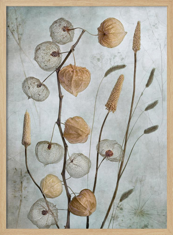 Tablou înramat „Lanterns*” de Mandy Disher