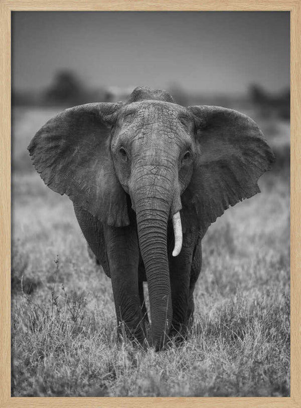 Tablou înramat „SINGULARITY” de Jaco Marx