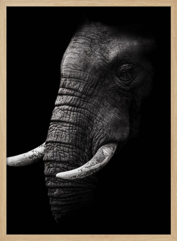 Tablou înramat „Portrait” de WildPhotoArt