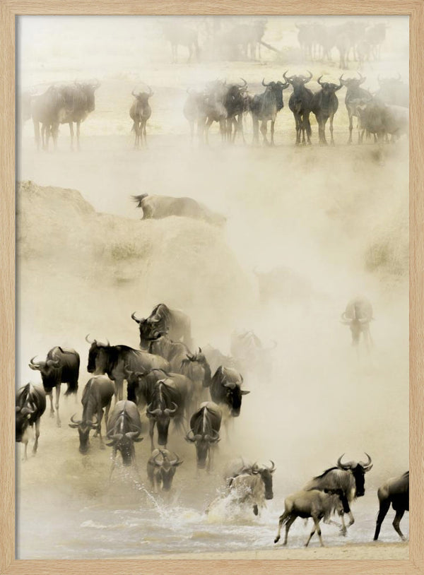 Tablou înramat „Swarming” de Husain Alfraid