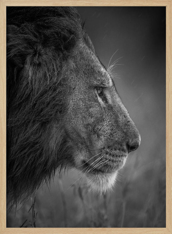 Tablou înramat „Thinking Under The Rain” de Faisal ALnomas