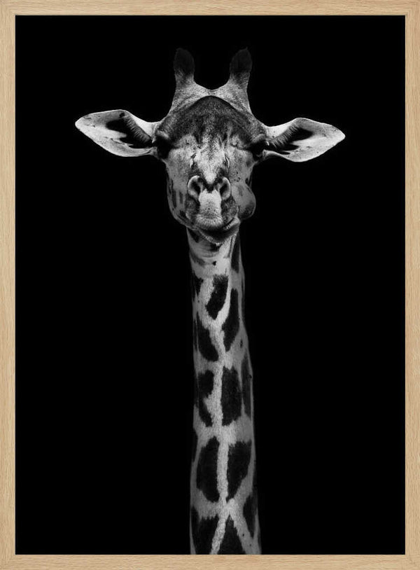 Tablou înramat „Giraffe Portrait” de WildPhotoArt