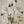 Tablou înramat „Spring Garden” de Sharon Williams
