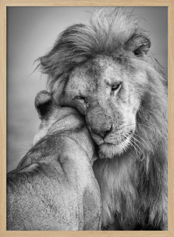 Tablou înramat „African Love!” de Ali Khataw