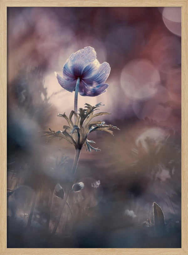 Tablou înramat „A brighter future” de Fabien BRAVIN