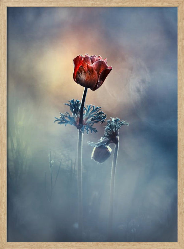 Tablou înramat „Where poetry and memories remain” de Fabien BRAVIN