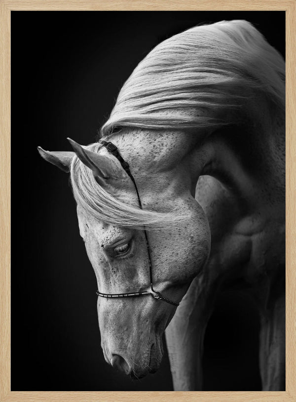 Tablou înramat „white stallion” de Ulrike Leinemann