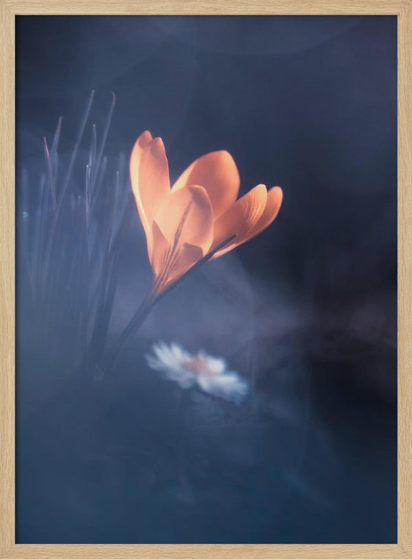 Tablou înramat „Upanishad” de Fabien BRAVIN