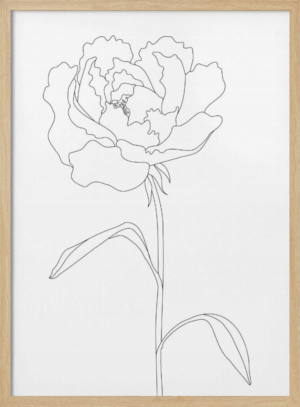Tablou înramat „Peony Lines” de Pictufy Studio II