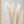 Tablou înramat „Pampas Grass Grey 02” de Pictufy Studio III