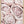 Tablou înramat „Pink Roses No 01” de Pictufy Studio III
