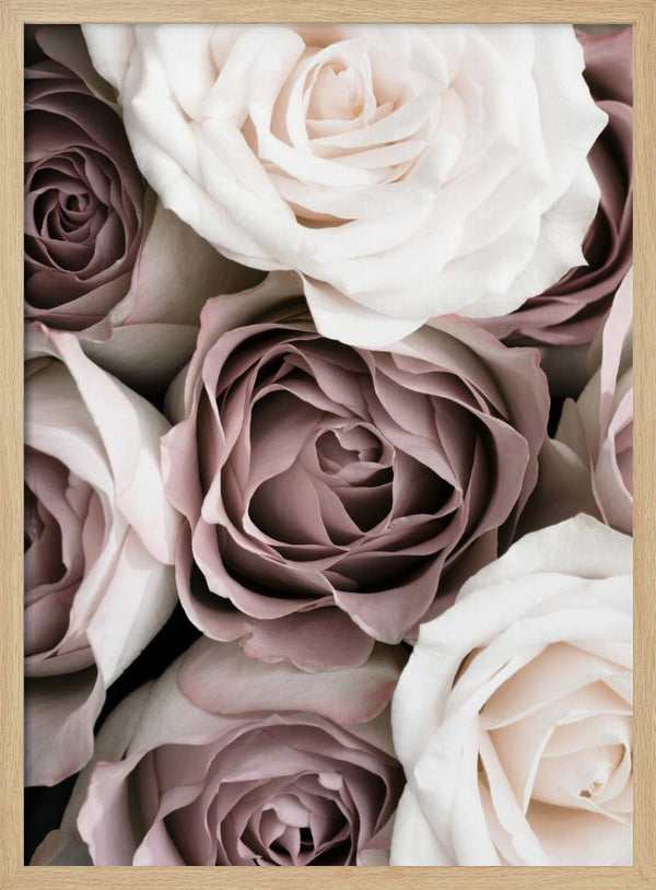 Tablou înramat „Roses” de Pictufy Studio III