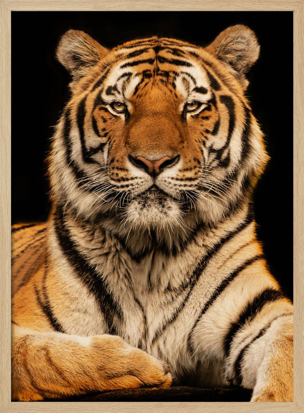 Tablou înramat „I c U” de Jörg Zimmermann