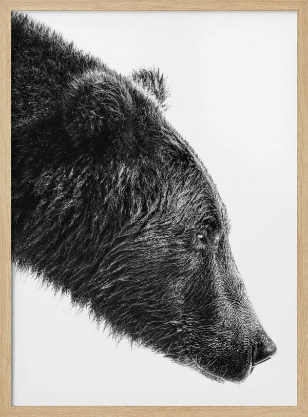 Tablou înramat „The Salmon Catcher” de Anchor Lee