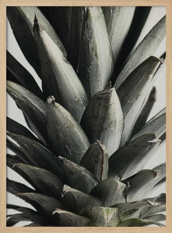 Tablou înramat „Pineapple close up” de Pictufy Studio III
