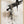 Tablou înramat „wild_words_002” de Pictufy Studio II