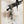 Tablou înramat „wild_words_002” de Pictufy Studio II