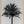 Tablou înramat „Palm_003” de Pictufy Studio III