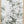 Tablou înramat „Eucalyptus_001” de Pictufy Studio III