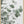 Tablou înramat „Eucalyptus_003” de Pictufy Studio III