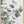 Tablou înramat „Eucalyptus_003” de Pictufy Studio III