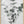 Tablou înramat „Eucalyptus_002” de Pictufy Studio III