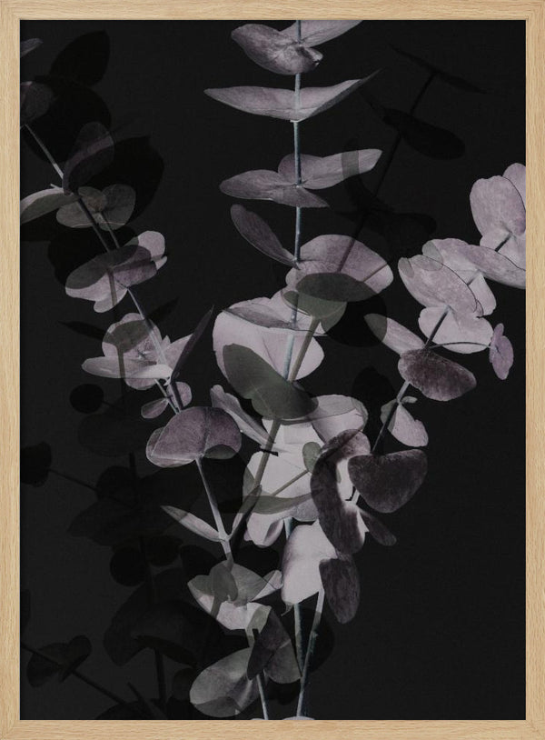 Tablou înramat „Eucalyptus_Negative_001” de Pictufy Studio III