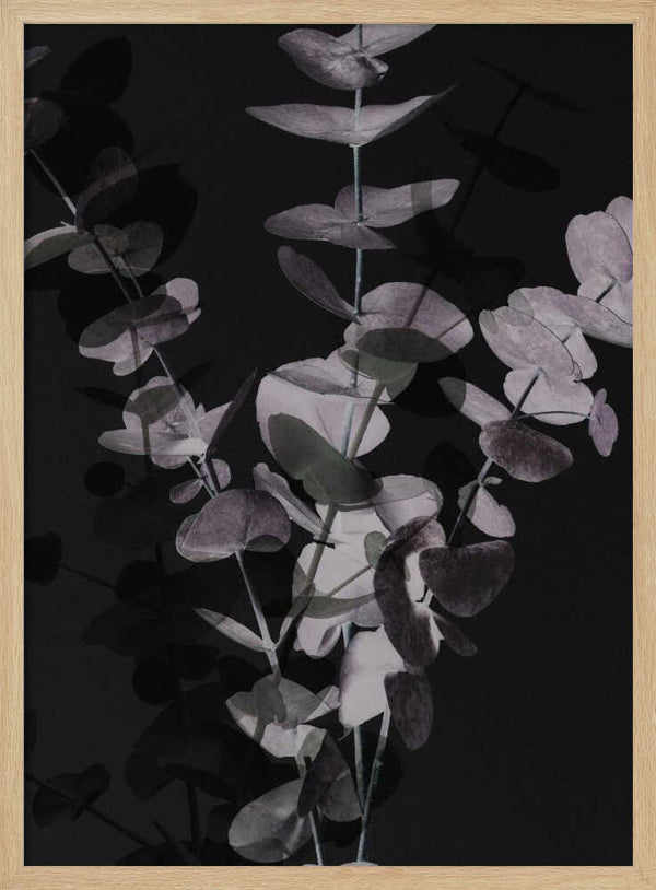 Tablou înramat „Eucalyptus_Negative_001” de Pictufy Studio III
