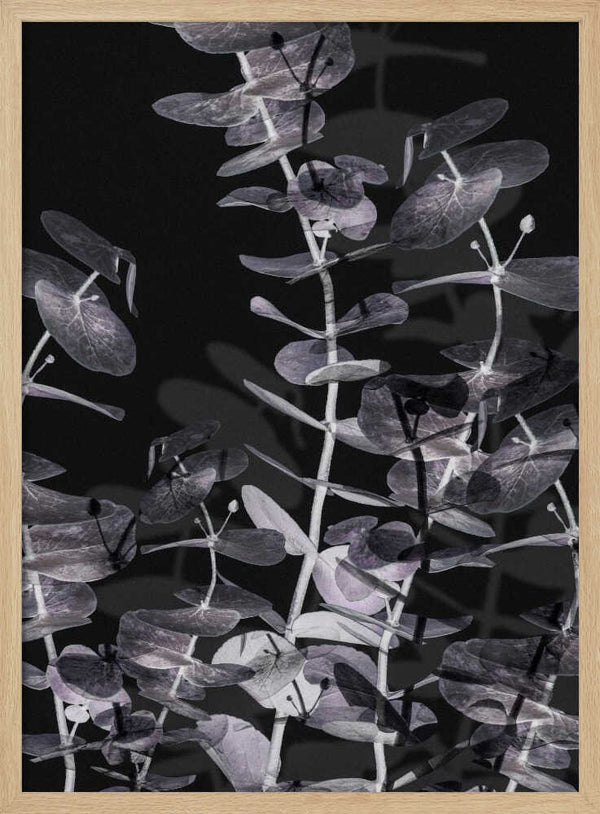Tablou înramat „Eucalyptus_Negative_002” de Pictufy Studio III