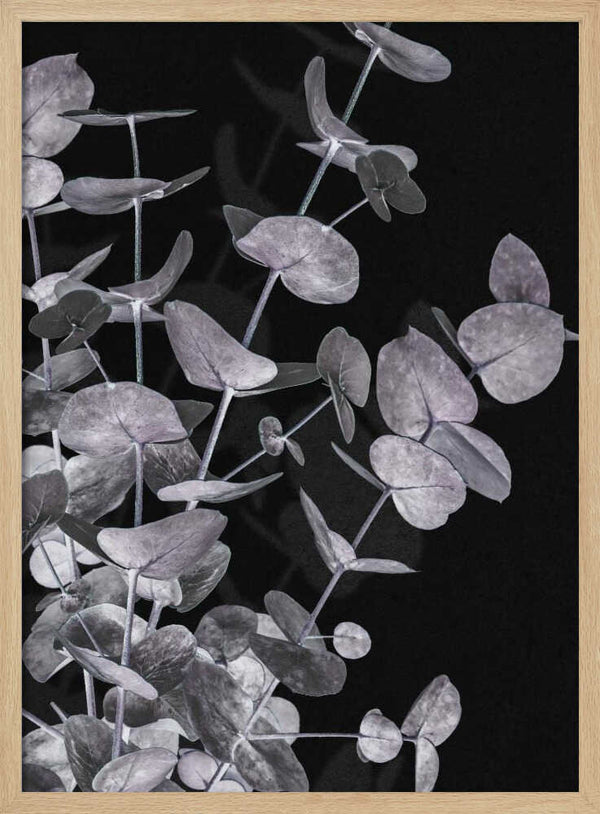 Tablou înramat „Eucalyptus_Negative_003” de Pictufy Studio III