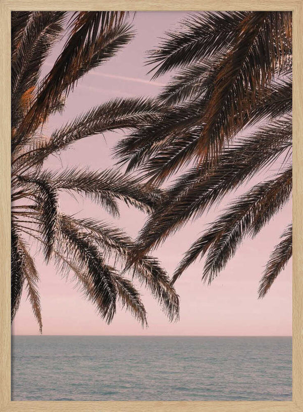 Tablou înramat „Palm_011” de Pictufy Studio III