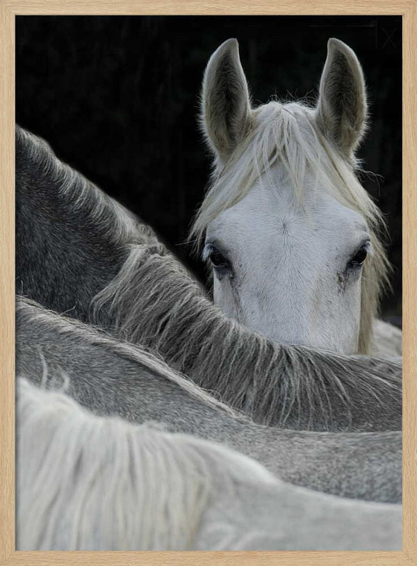 Tablou înramat „Look” de Milan Malovrh
