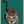Tablou înramat „Curious green leopard” de Sarah Manovski