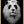 Tablou înramat „PANDALION” de Adam Lawless