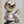 Tablou înramat „karate sloth” de Adam Lawless