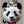 Tablou înramat „cat on panda bear” de Adam Lawless