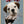 Tablou înramat „puppy on parachute” de Adam Lawless