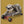 Tablou înramat „sloth on skateboard” de Adam Lawless