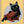Tablou înramat „lady tara” de Adam Lawless