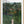 Tablou înramat „Femme Se Promenant Dans Une Foret Exotique” de Henri Rousseau