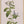 Tablou înramat „Botanical cycling” de Frida Floral Studio