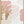 Tablou înramat „Pride of Pink-1” de Sally Ann Moss