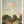 Tablou înramat „The Finest Giant Mushroom” de Florent Bodart