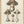 Tablou înramat „Agaricus Bulbosus Illustration. Medical Botany 1836” de John Stephenson and James Morss Churchill
