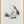 Tablou înramat „Vintage Agaricus Augustus Mushroom 50x70” de Biodiversity Heritage Library