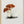 Tablou înramat „Hand Drawn Rufous Milkcap Mushroom” de Biodiversity Heritage Library