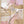 Tablou înramat „Golden Sunrise-2” de Sally Ann Moss