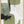 Tablou înramat „Green Dream 3” de Sally Ann Moss