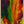 Tablou înramat „colored paints” de engin akyurt